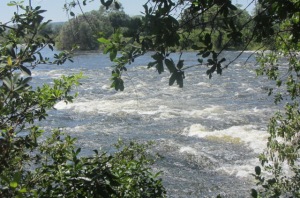 The Zambezi River near Victoria Falls, Zimbabwe