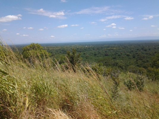 The Escarpment, Zimbabwe
